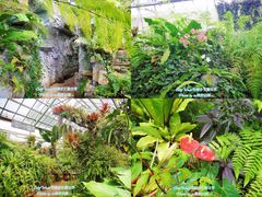 -北京植物园-展览温室