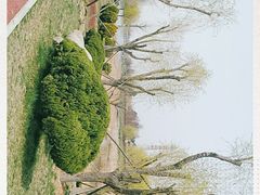 -羊亭河湿地公园