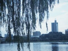 -长春世界雕塑园冰雪艺术天地