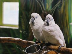 -海合安武汉极地海洋公园