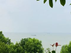 -岳阳楼景区