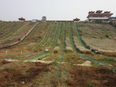 -南戴河国际娱乐中心