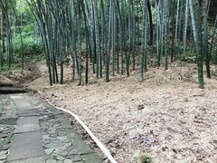 -杭州黄龙洞