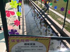 -新地休闲农场