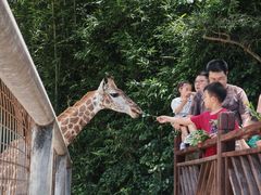 -泉州海丝野生动物世界
