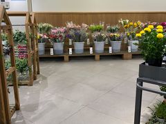 -鹿岛会员店 (龙湖三千集天街店)