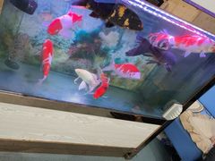 -朋朋修脚(友好广场店)