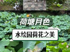 -水绘园