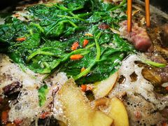 原汤锅底-蜀皇·菌汤鲜黄牛肉汤锅(宽窄巷子店)