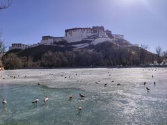 -宗角禄康公园