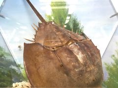 -厦门海底世界