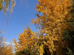 -元大都城垣遗址公园