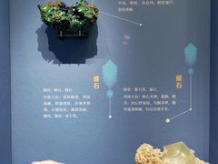 -山东博物馆