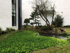 -东方艺术博物馆