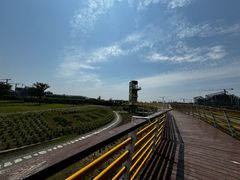 -春花秋色城市公园