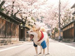 -白箱照相馆·外拍