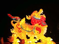 -北京石景山游乐园