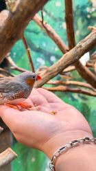-Zoolung Zoolung动物主题公园(海信广场店)