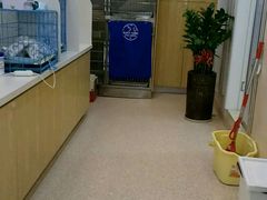 -芭比堂动物医院·24小时·眼科中心(深圳中心)