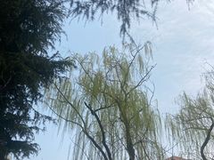 -东水关遗址公园