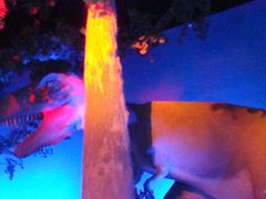 -世界恐龙谷景区