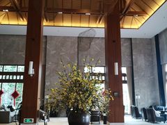 -美的鹭湖探索王国