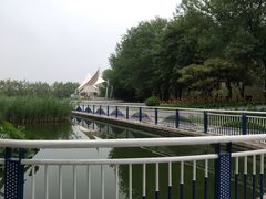 -北京国家会计学院