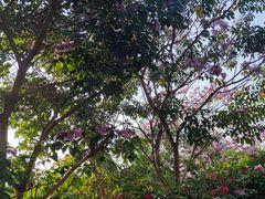 -金鸡岭桥头公园