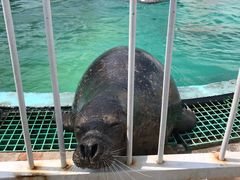 -北戴河圣蓝海洋公园