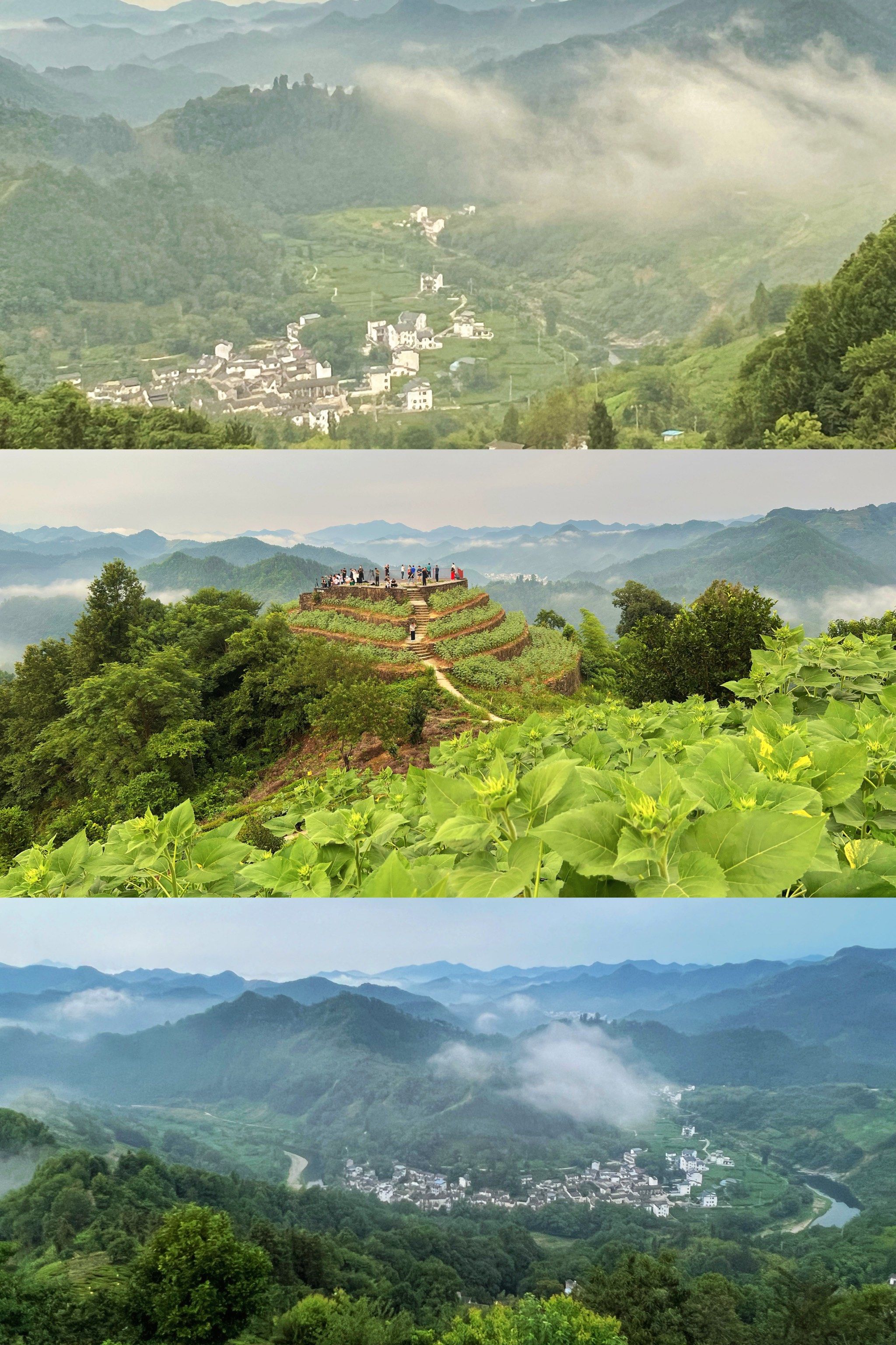 石潭村是皖南歙县的一个小村落,华东十大油