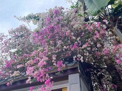 -深圳国际园林花卉博览园