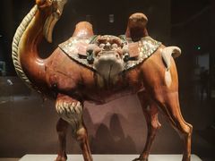 -洛阳古墓博物馆