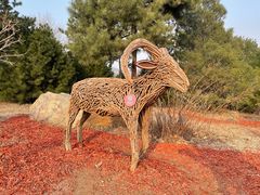 -北京西山国家森林公园