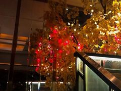 -丽晶大班SPA(大沽店)