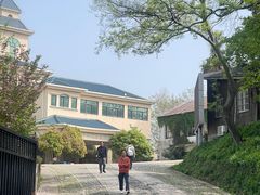 -紫金山山顶公园