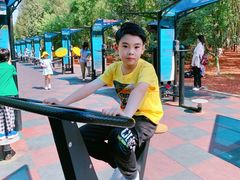 -朝阳公园游乐园