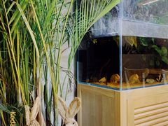 -小意思咖啡店(草桥店)