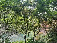 -杭州半山国家森林公园