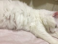 -螺大蛳柳州螺蛳粉·火锅·热干面(西城永捷店)