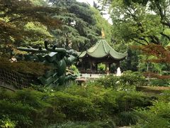 -申粤轩酒楼·三十年粤菜经典(丁香花园店)