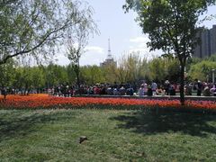 -长春公园(普阳街道)