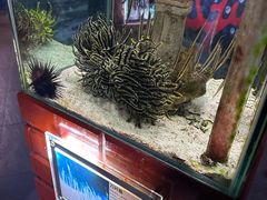 -太平洋海底世界