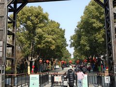 -溱湖国家湿地公园