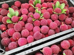 -西郊国际农产品交易中心