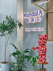 点击看大图 -玛莲朵·海菲秀冰珀科