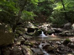 -本溪汤沟绿石谷森林公园