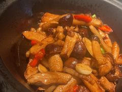 -凤凰湘语(浦东旗舰店)