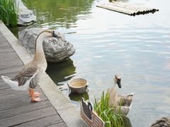 -扬州瘦西湖温泉