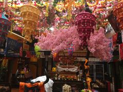 -吉祥圣雪藏餐