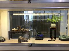 -双季花艺园艺市场(浦东店)